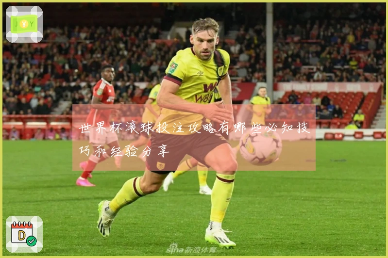 世界杯滚球投注攻略有哪些必知技巧和经验分享