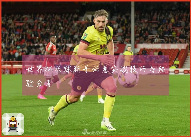 世界杯买球新手必看实战技巧与经验分享