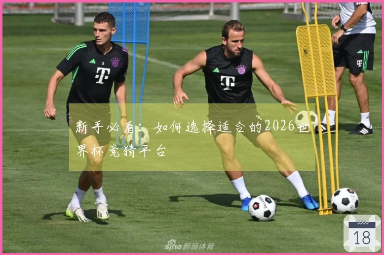 新手必看：如何选择适合的2026世界杯竞猜平台