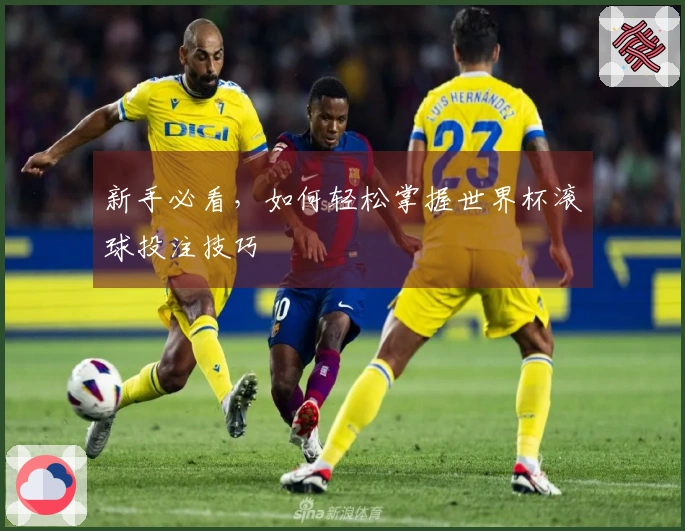 新手必看，如何轻松掌握世界杯滚球投注技巧