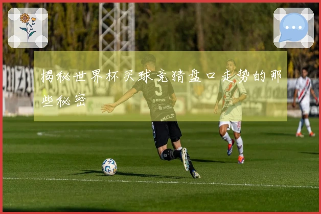 揭秘世界杯买球竞猜盘口走势的那些秘密