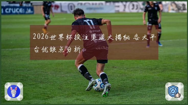 2026世界杯投注渠道大揭秘 各大平台优缺点分析