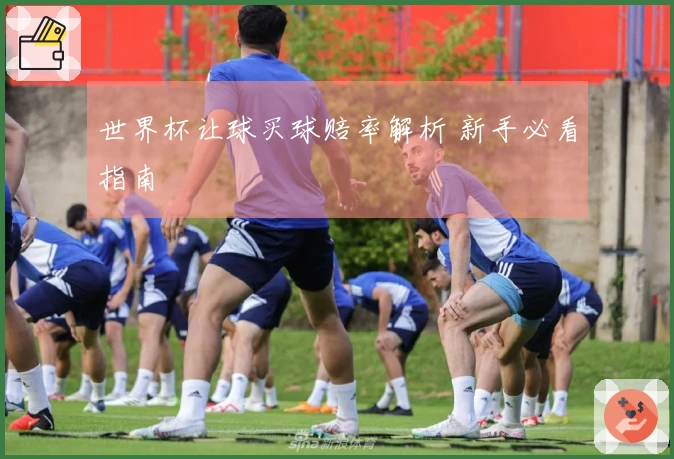 世界杯让球买球赔率解析 新手必看指南