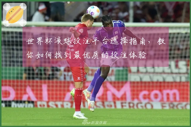 世界杯滚球投注平台选择指南，教你如何找到最优质的投注体验