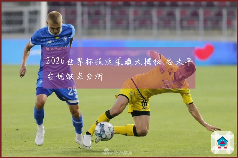 2026世界杯投注渠道大揭秘 各大平台优缺点分析