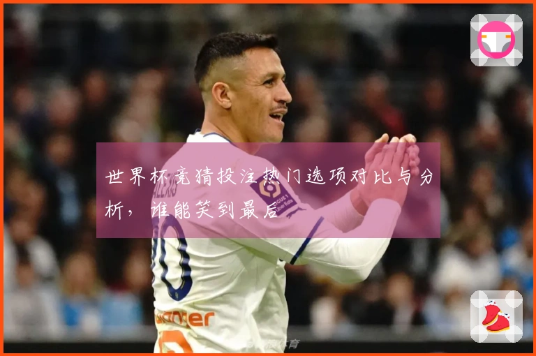 世界杯竞猜投注热门选项对比与分析，谁能笑到最后