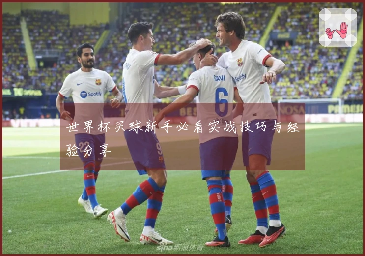 世界杯买球新手必看实战技巧与经验分享